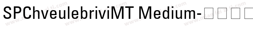 SPChveulebriviMT Medium字体转换